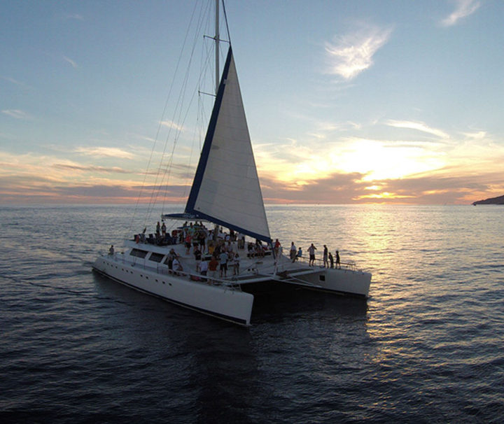 Eco cot sunset cruise in los cabos