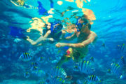 Cabo Loco Tours Snorkeling
