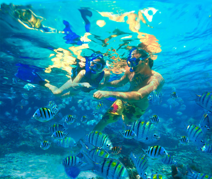 Cabo Loco Tours Snorkeling