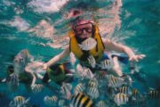 Cabo Loco Tours Snorkeling