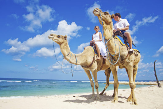 Outback & Camel Safari