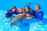 Dolphin Encounter in los cabos