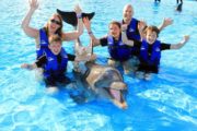 Dolphin Signature Swim