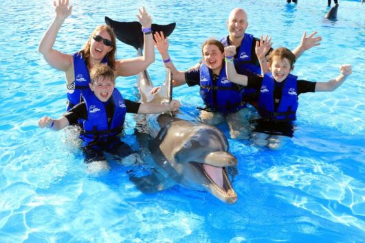 Dolphin Signature Swim