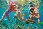 Snorkeling in los cabos