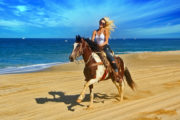 Horseback riding in los cabos mexico