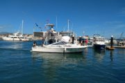 34ft Boat Fishing in Los Cabos Mexico