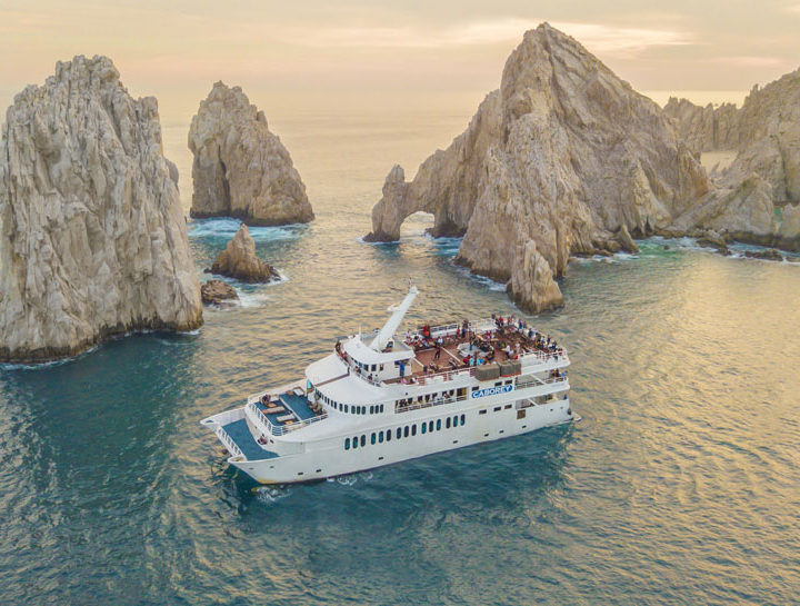 Premium sunset dinner Cabo Rey los cabos