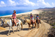 Horseback riding in los cabos mexico