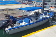 Panga fishing water taxi los cabos