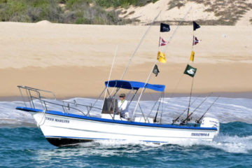 Super panga cabo fishing
