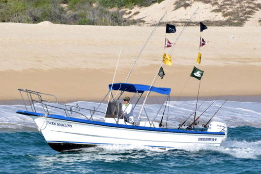 Super panga cabo fishing